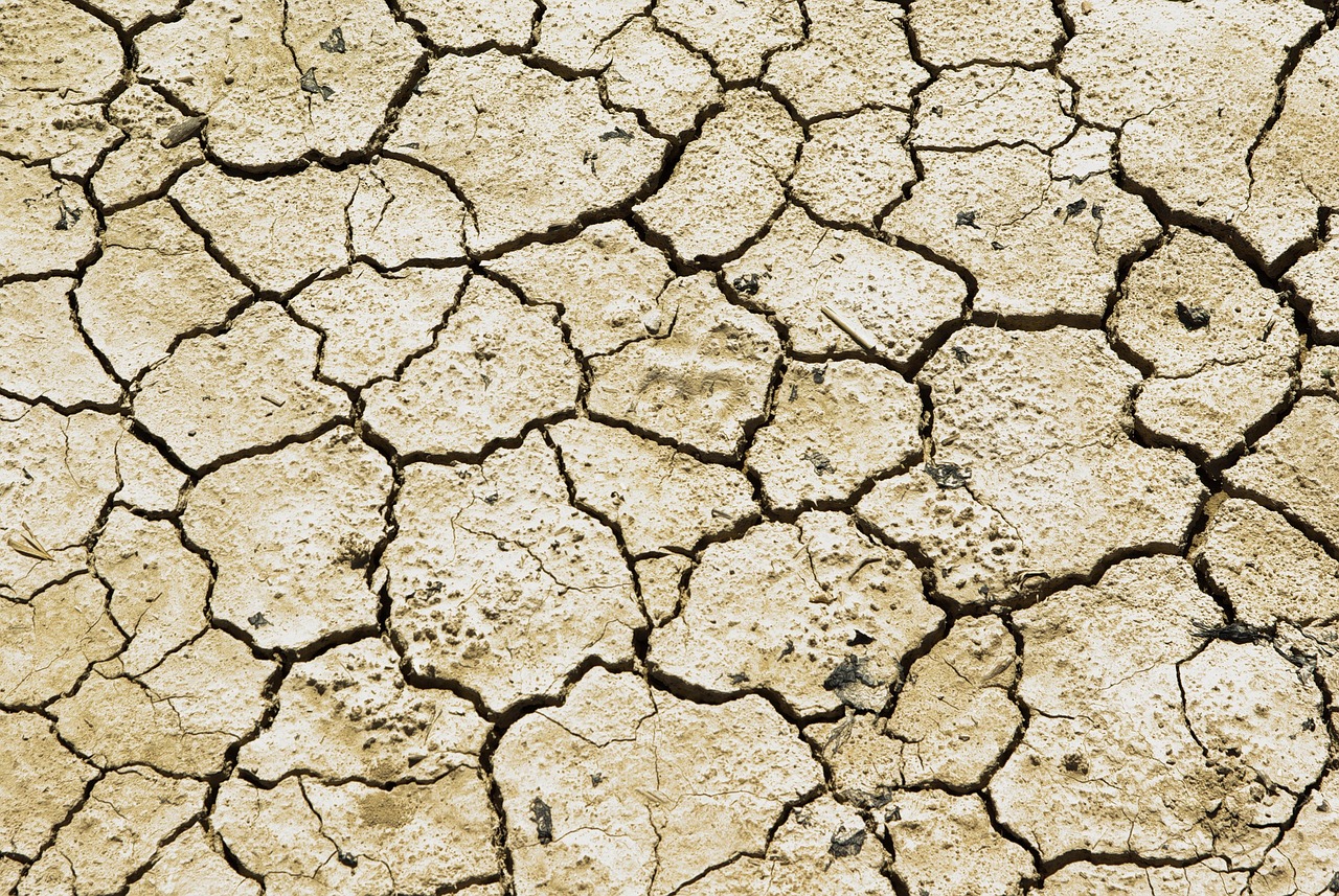 5. Build Climate Resilience (Droughts & Floods)