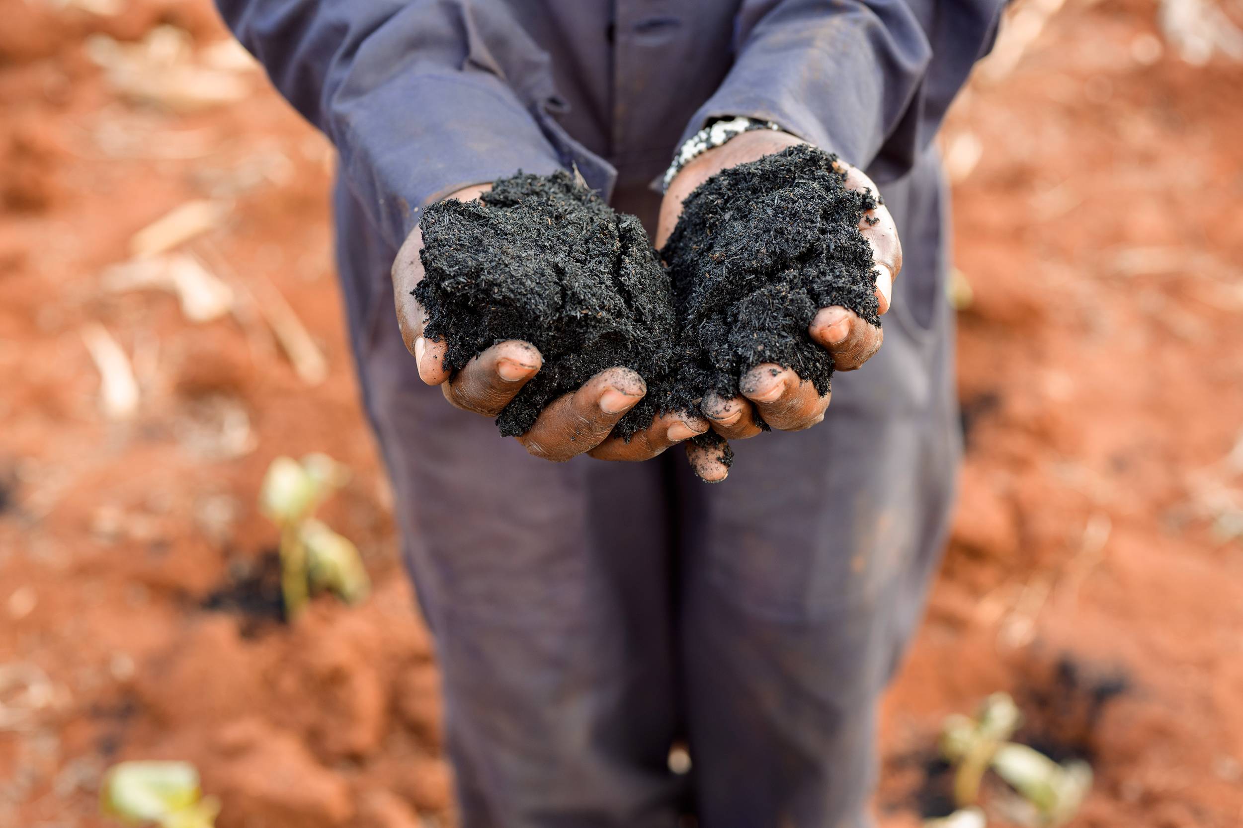 3. Climate-Smart & Regenerative Agriculture