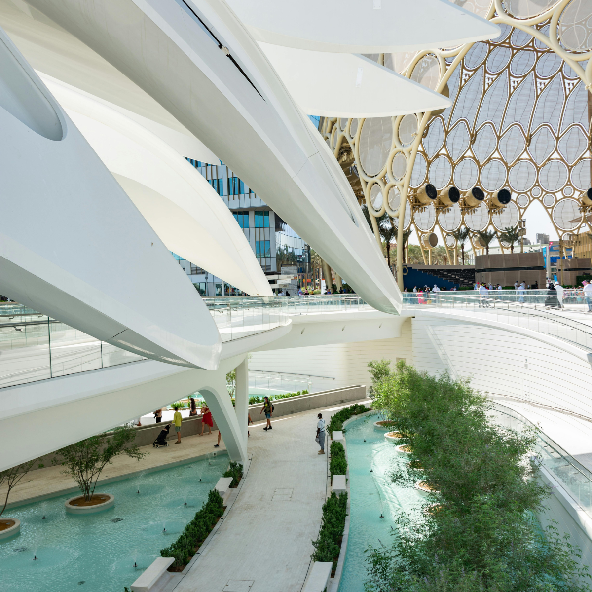 4. Climate Innovation & Global Sustainability Leadership