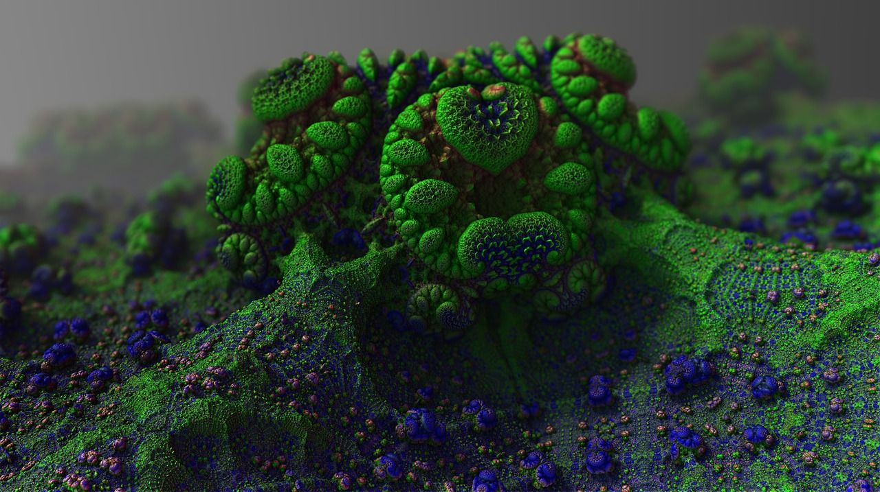 Solution Image